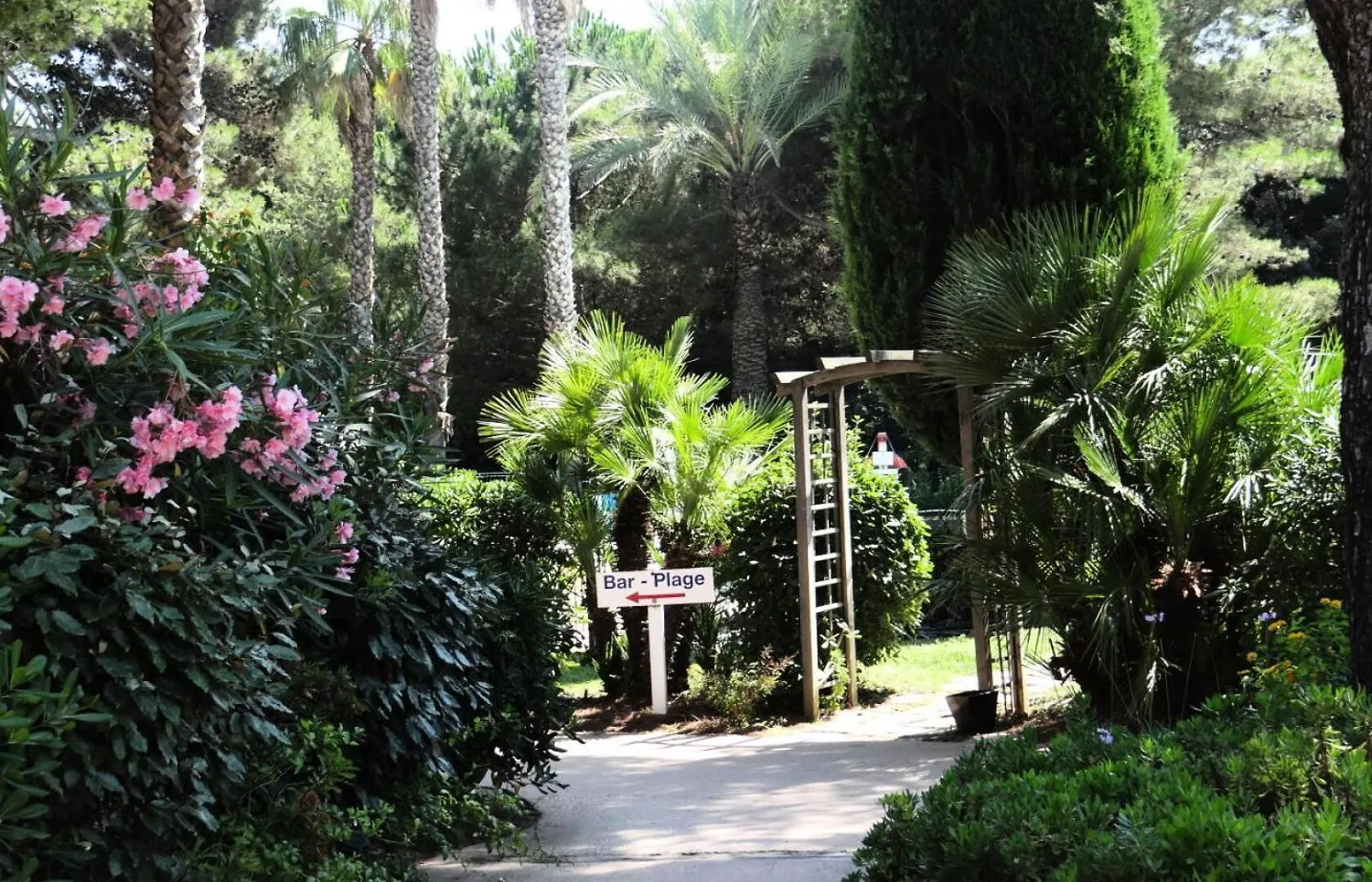 Residence La Pinede - Maeva Home - Appartement 2 Pieces 5 Personnes - Confort Mae-6327 Hyeres